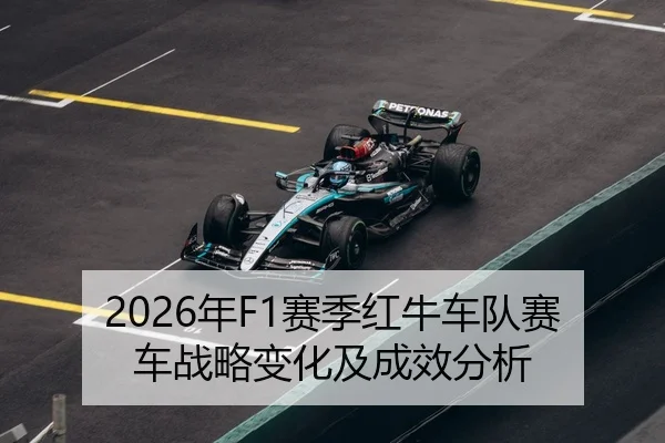 nian-sai-ji-hong-niu-che-dui-sai-che-zhan-lve-bian-hua-ji-cheng-xiao-fen-xi-2-638.jpg