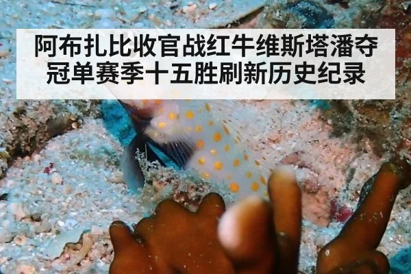 阿布扎比收官战红牛维斯塔潘夺冠单赛季十五胜刷新历史纪录